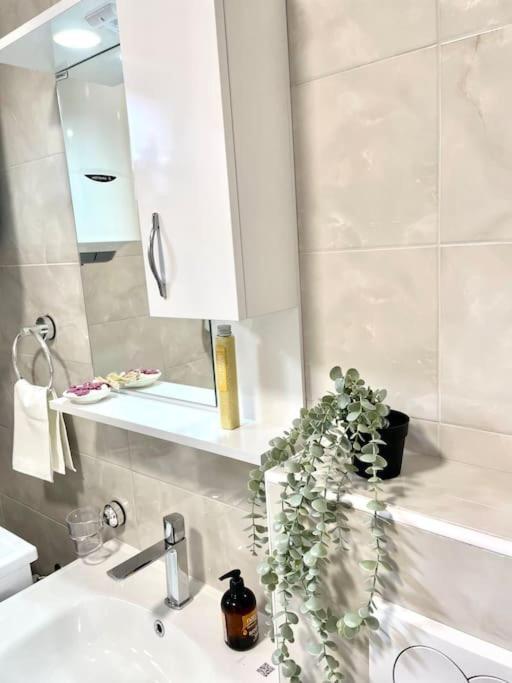 Apartman Dolcerosa Kotor Buitenkant foto