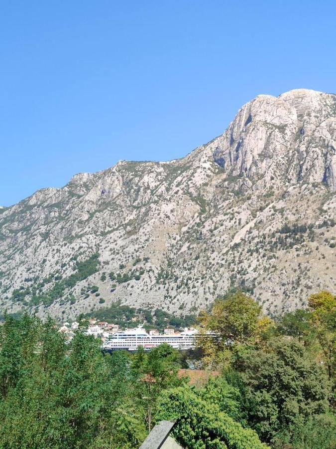 Apartman Dolcerosa Kotor Buitenkant foto