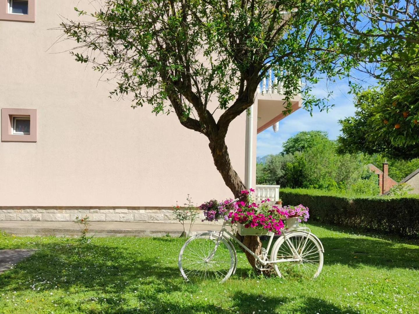 Apartman Dolcerosa Kotor Buitenkant foto